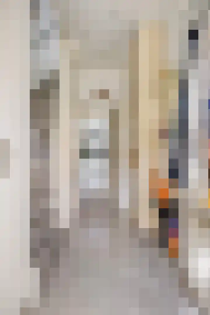 Lijsterbeslaan 6 Duiven thumbnail 7