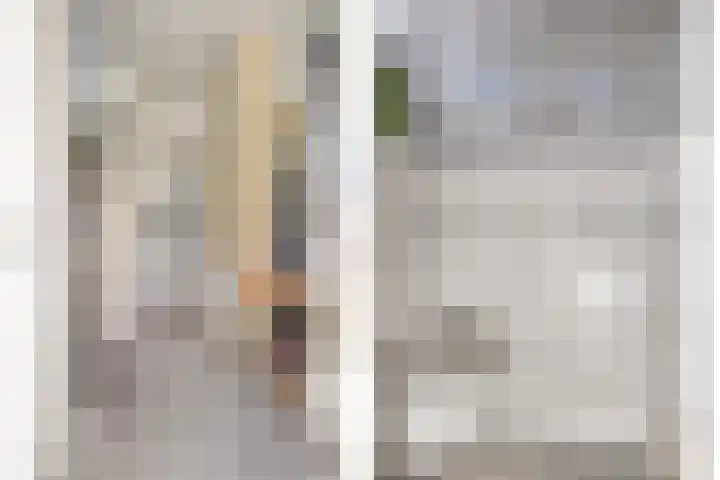 Lijsterbeslaan 6 Duiven thumbnail 8