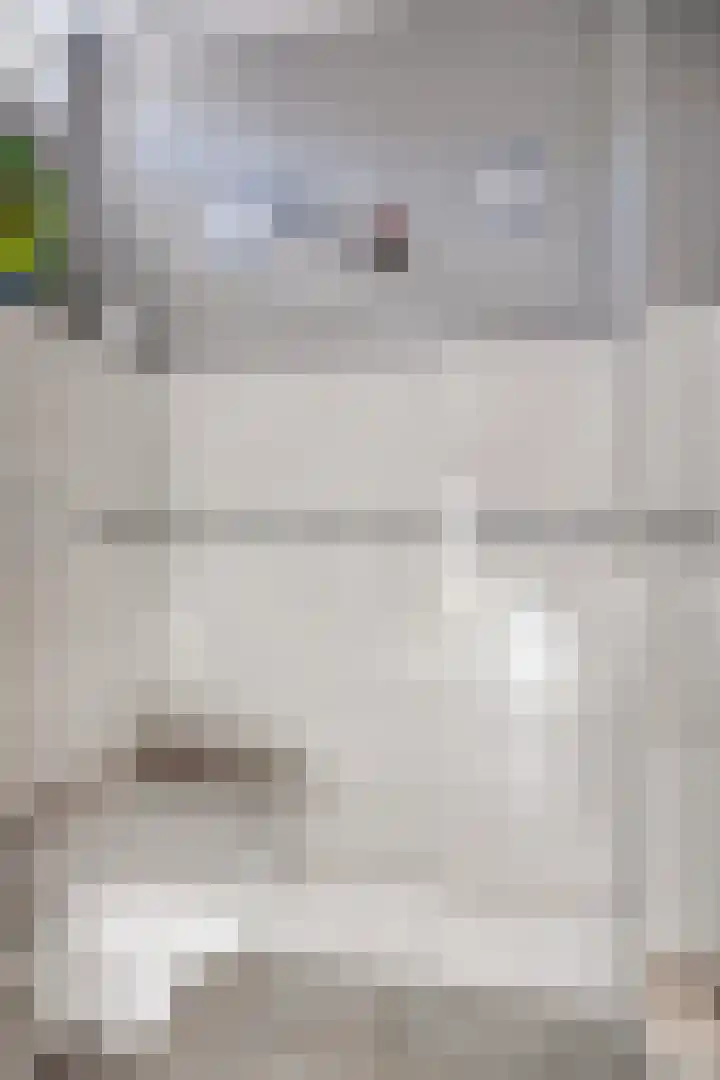 Lijsterbeslaan 6 Duiven thumbnail 9