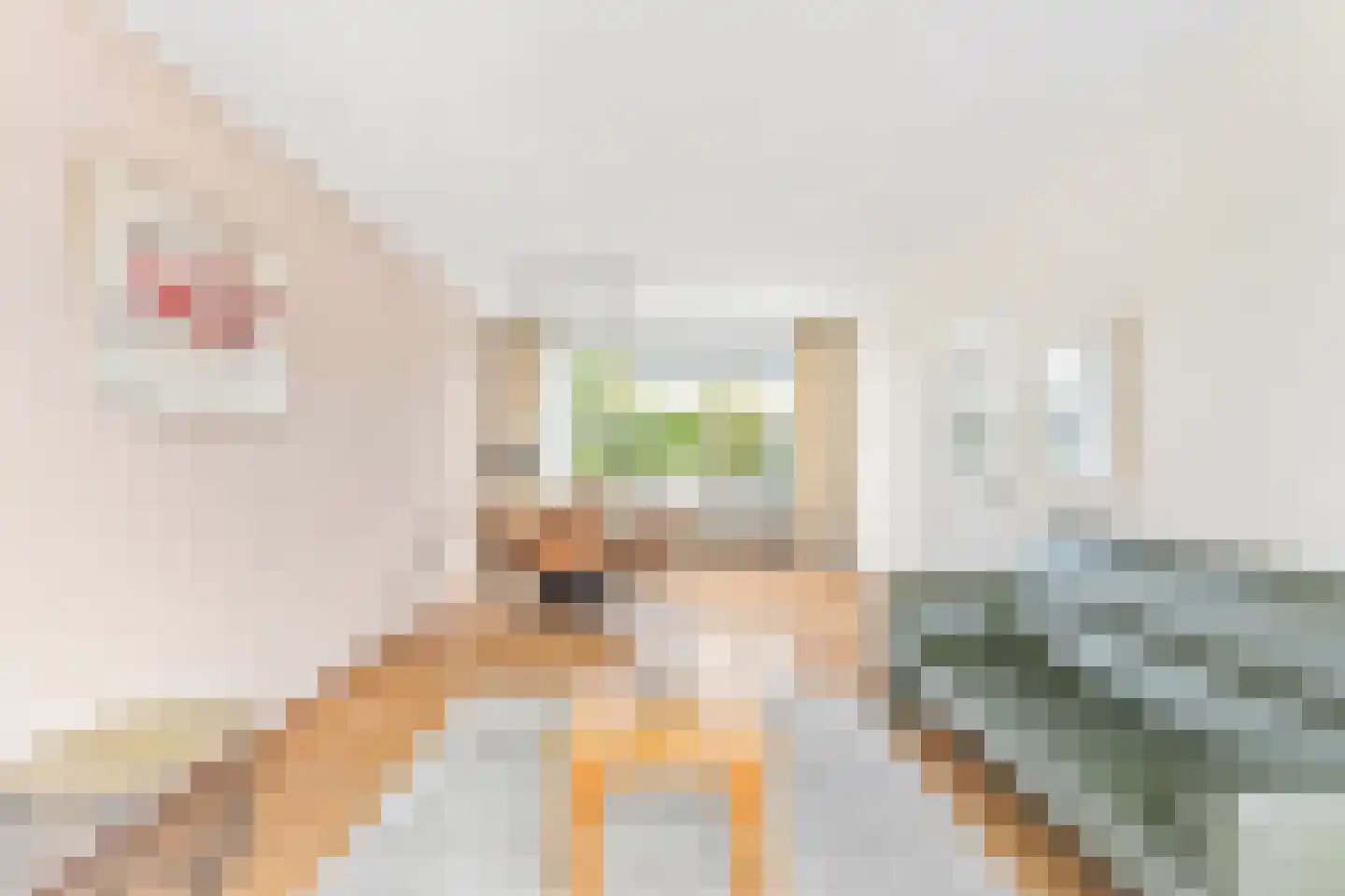 Lijsterbeslaan 6 Hoogland thumbnail 16
