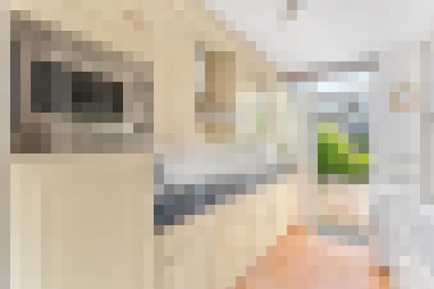 Lijsterbeslaan 6 Hoogland thumbnail 20