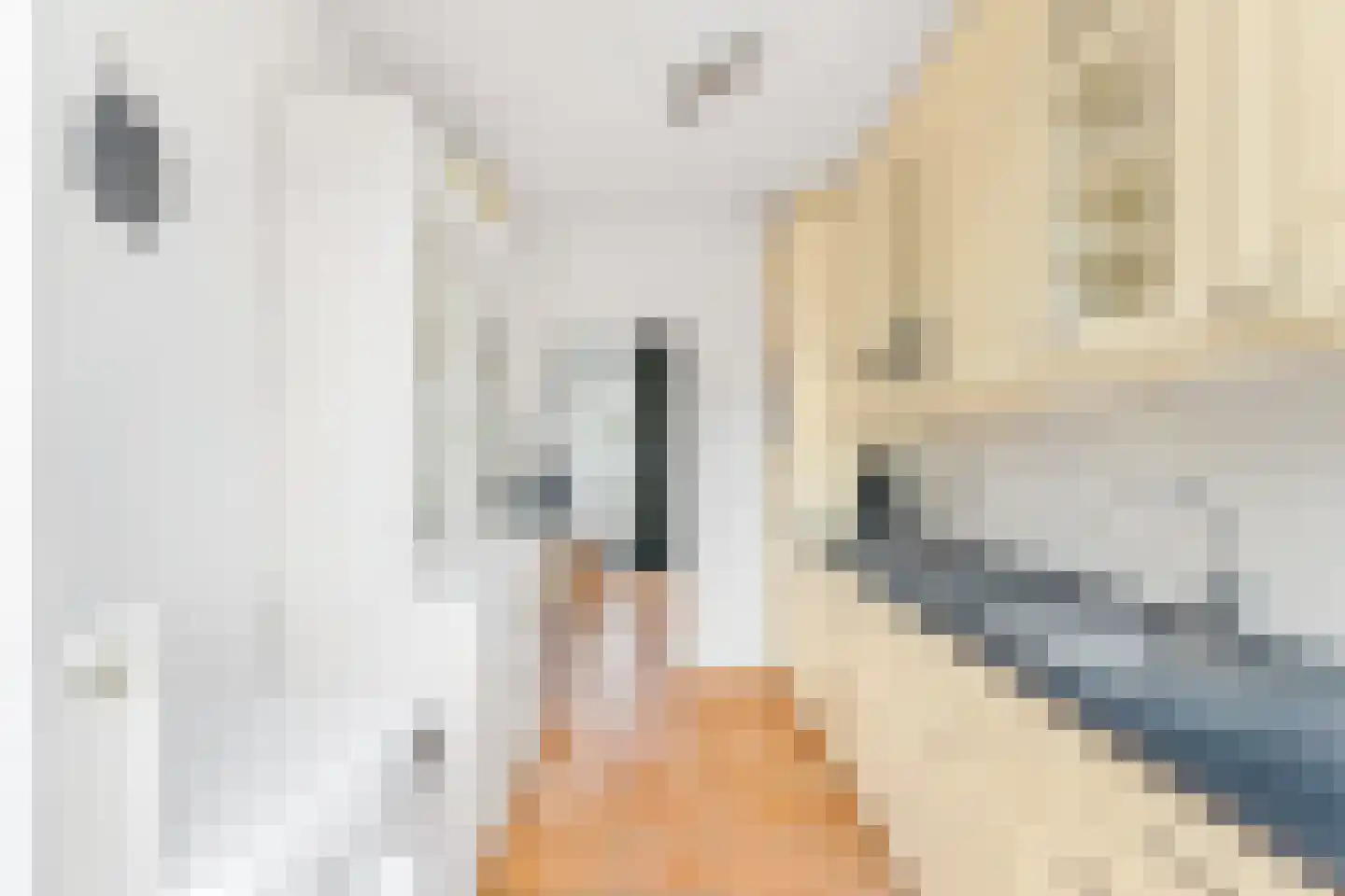 Lijsterbeslaan 6 Hoogland thumbnail 21