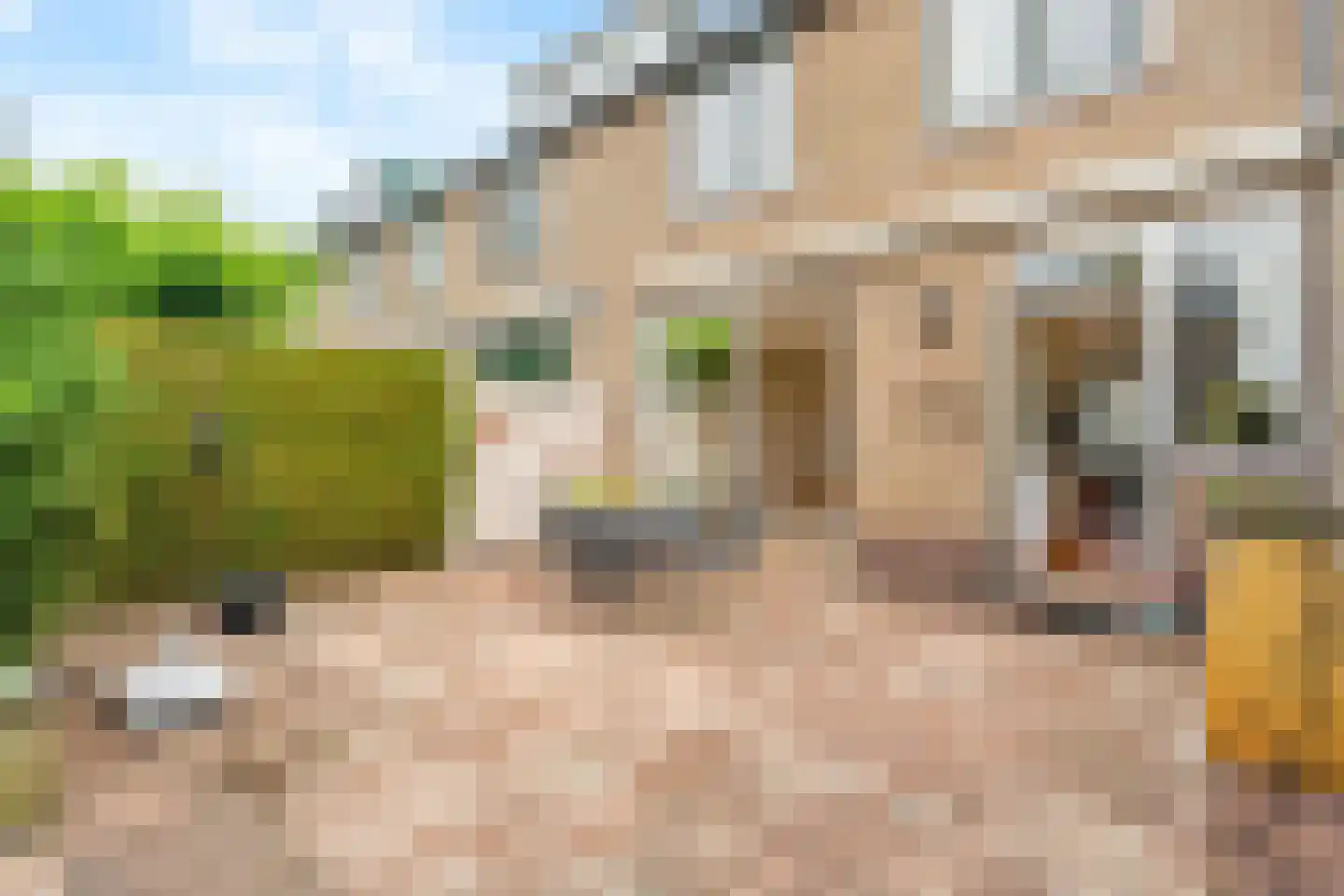 Lijsterbeslaan 6 Hoogland thumbnail 34