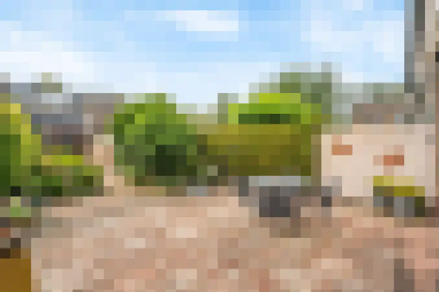 Lijsterbeslaan 6 Hoogland thumbnail 35
