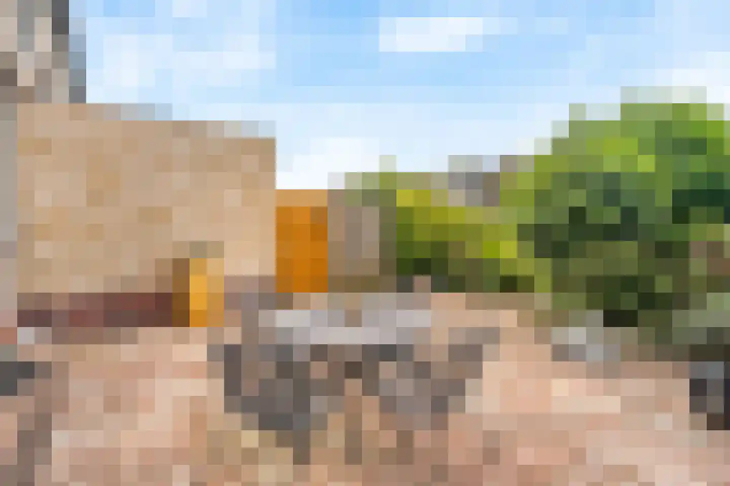 Lijsterbeslaan 6 Hoogland thumbnail 36