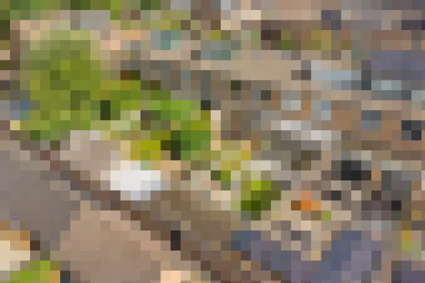 Lijsterbeslaan 6 Hoogland thumbnail 42