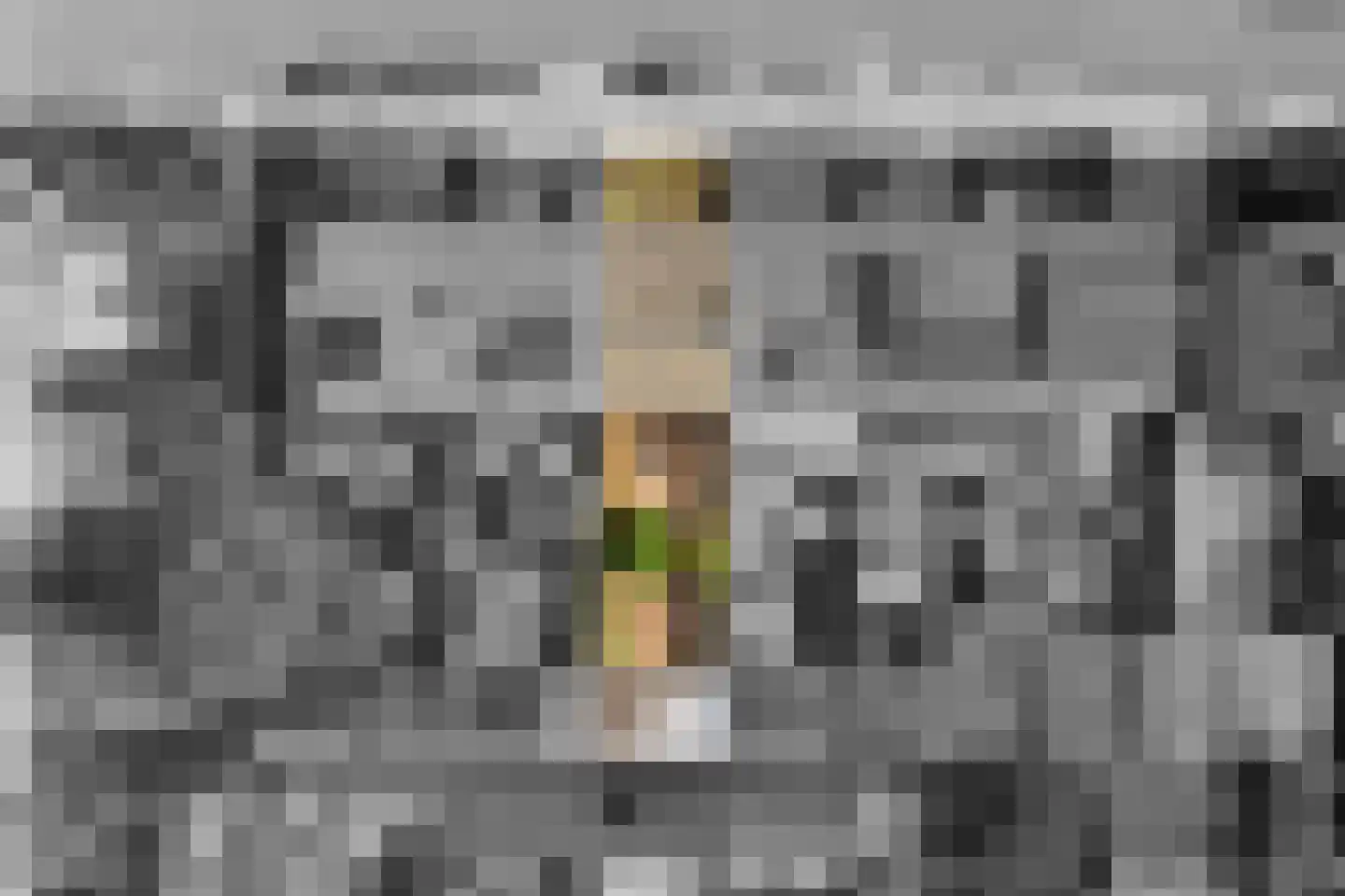 Lijsterbeslaan 6 Hoogland thumbnail 43