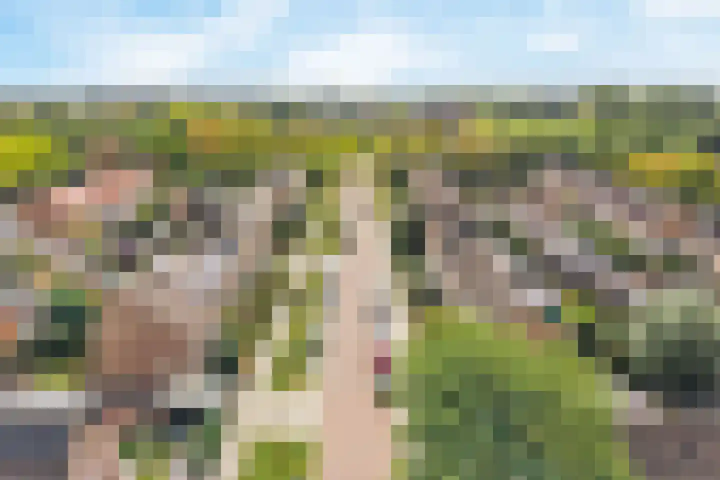 Lijsterbeslaan 6 Hoogland thumbnail 46