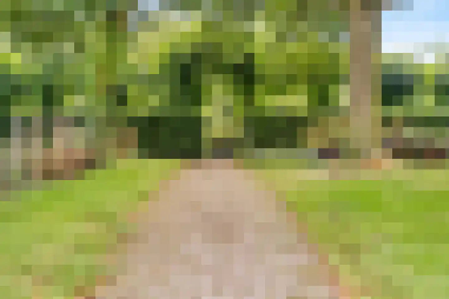 Lijsterbeslaan 6 Hoogland thumbnail 47