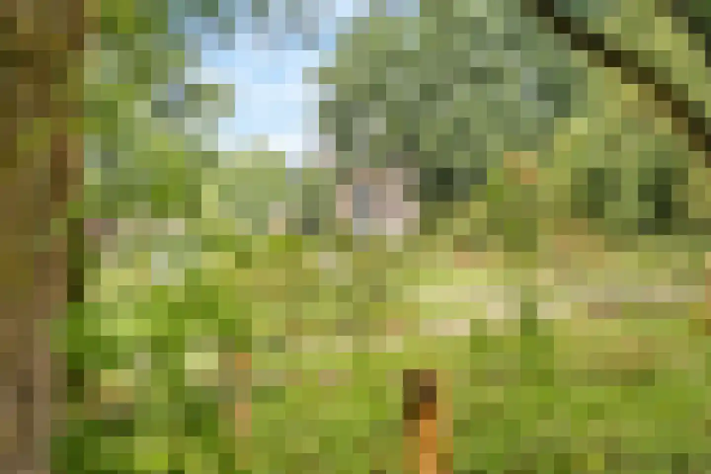 Lijsterbeslaan 6 Hoogland thumbnail 48