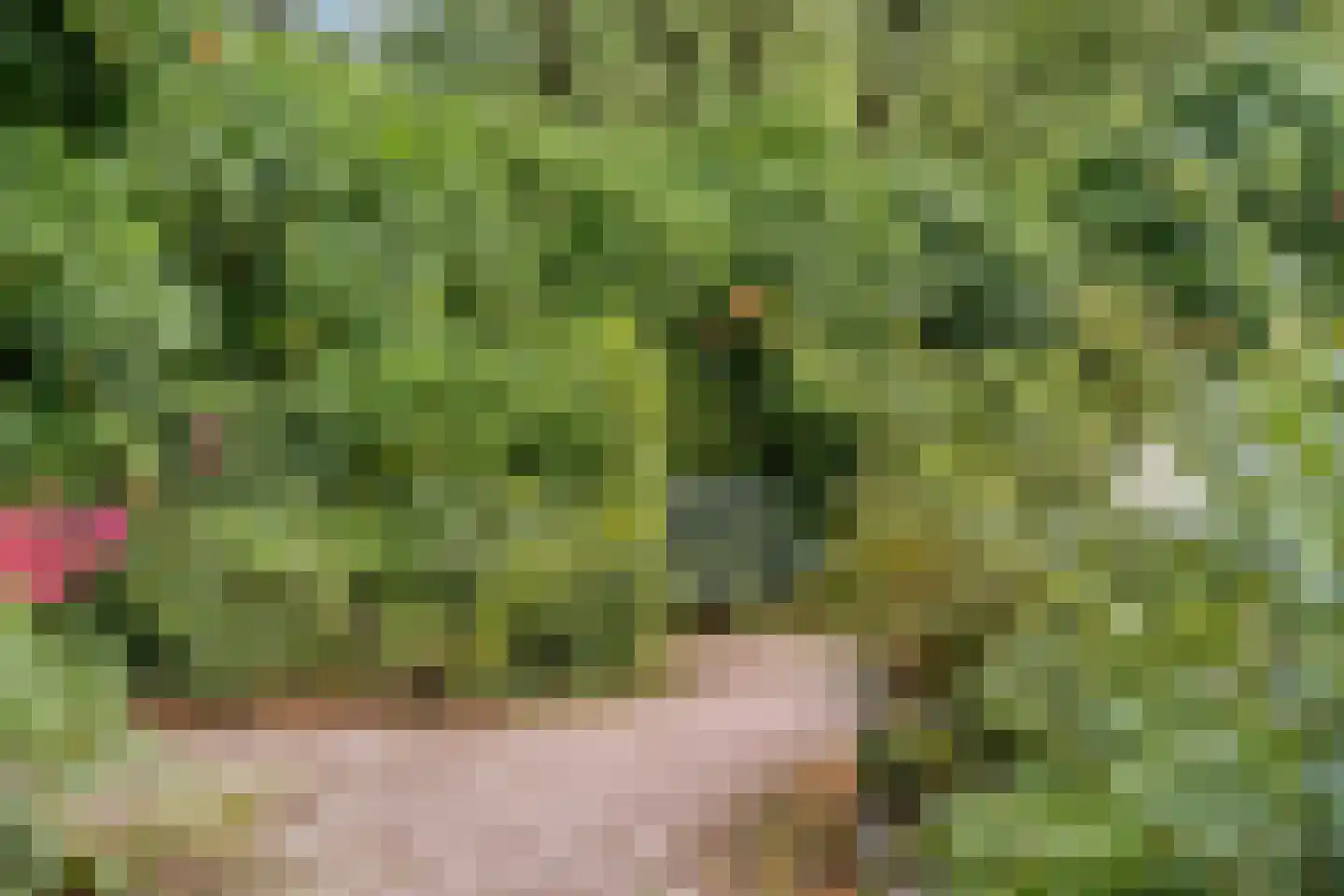 Lijsterbeslaan 6 Hoogland thumbnail 49