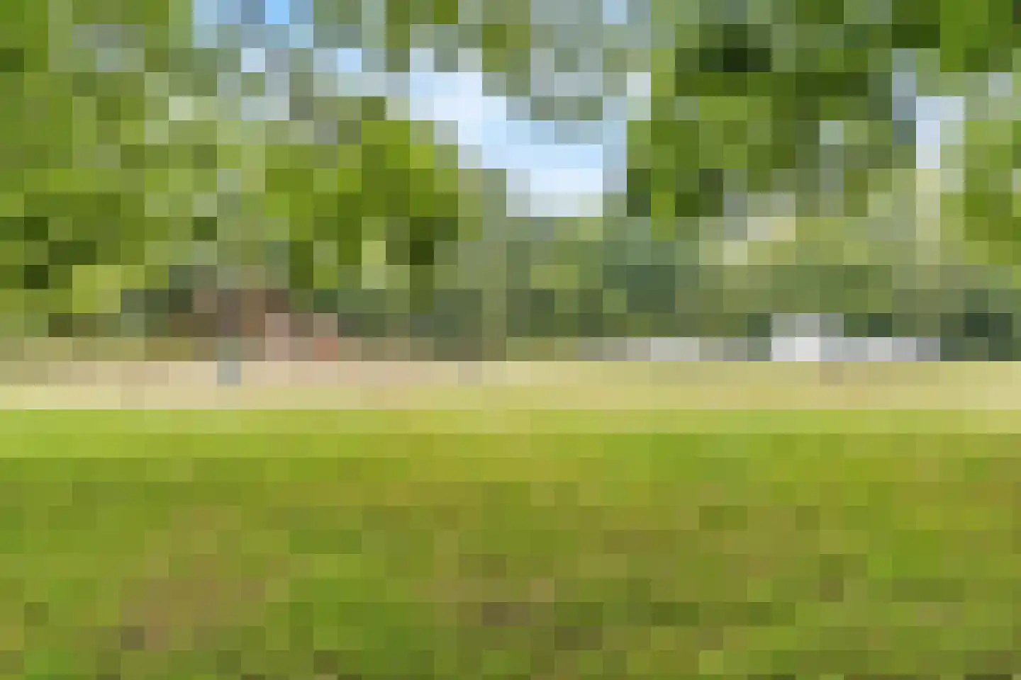 Lijsterbeslaan 6 Hoogland thumbnail 50