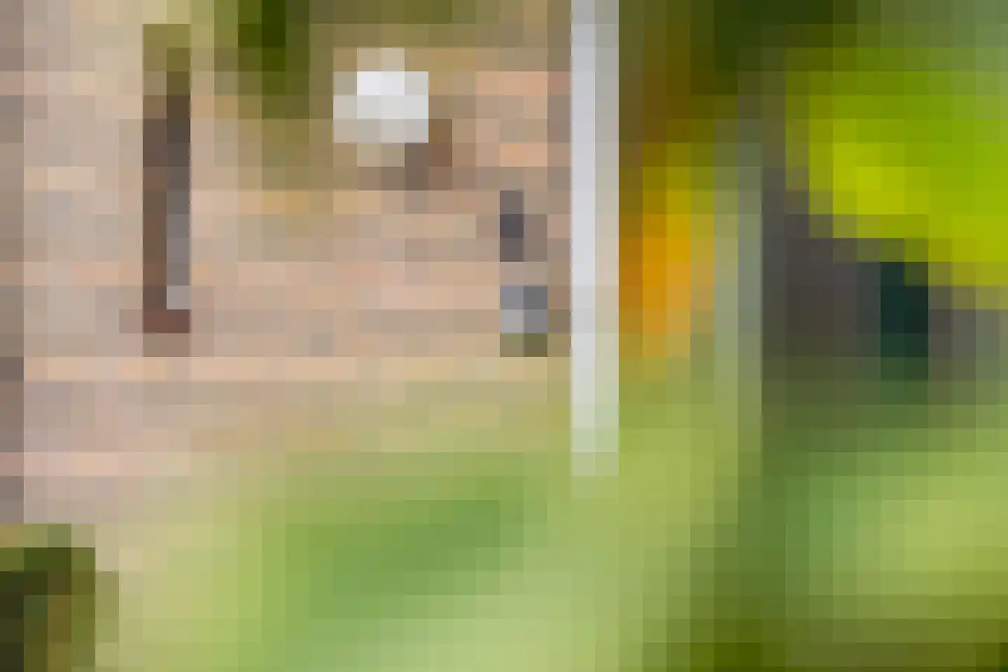 Lijsterbeslaan 6 Hoogland thumbnail 9