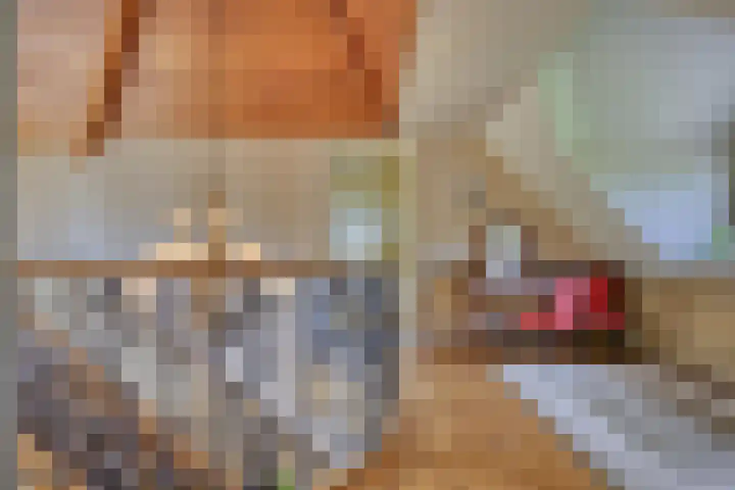 Lijsterbeslaan 6 Loon op Zand thumbnail 17