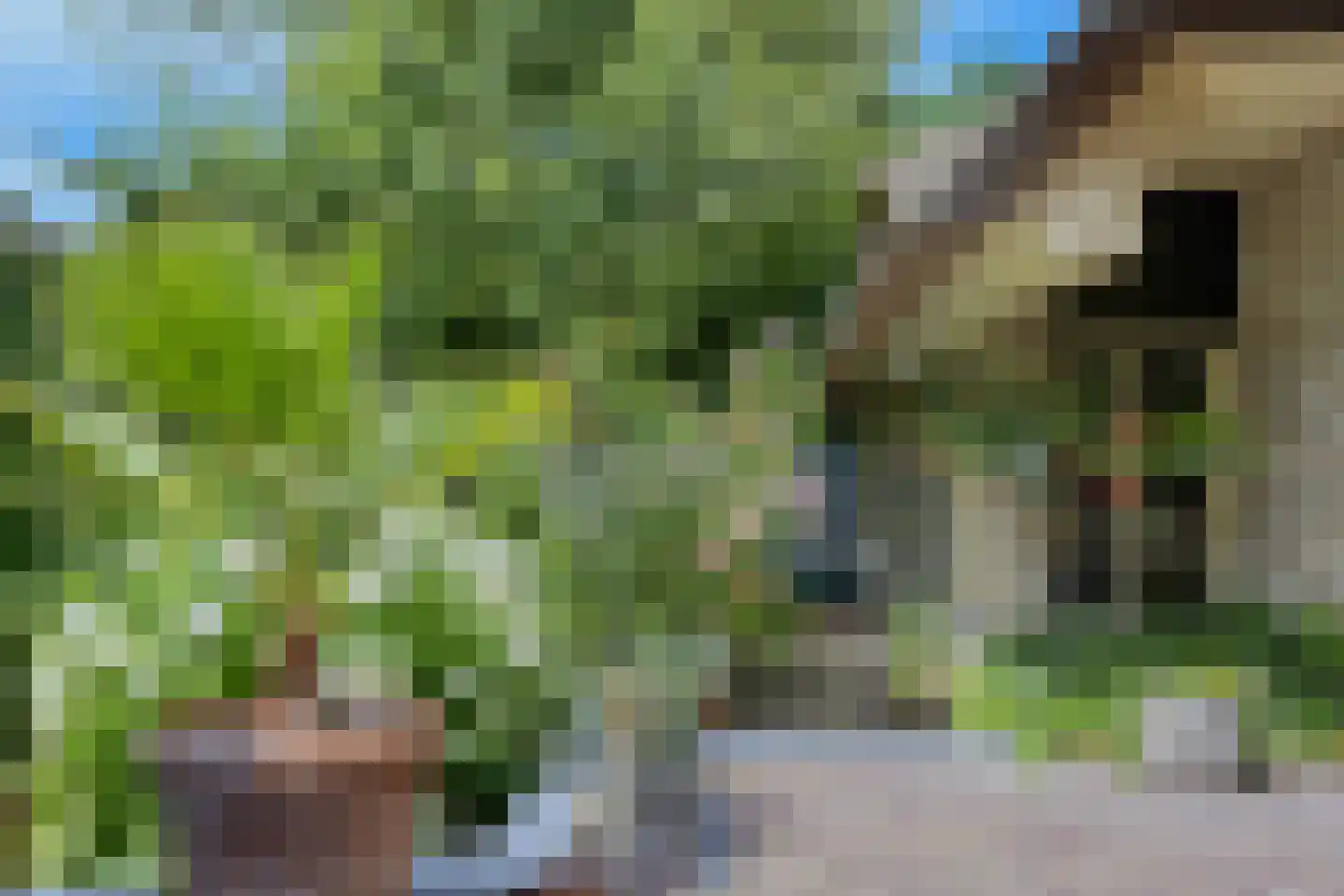 Lijsterbeslaan 6 Loon op Zand thumbnail 25