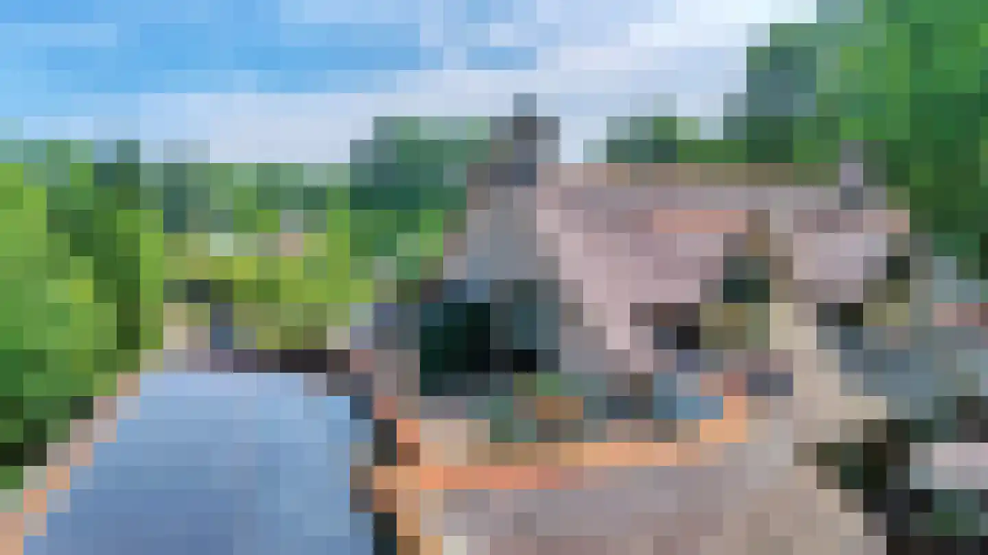 Lijsterbeslaan 6 Loon op Zand thumbnail 28