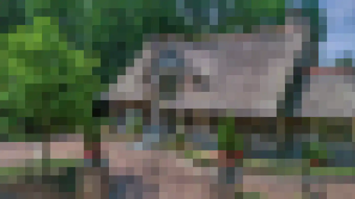 Lijsterbeslaan 6 Loon op Zand foto 3