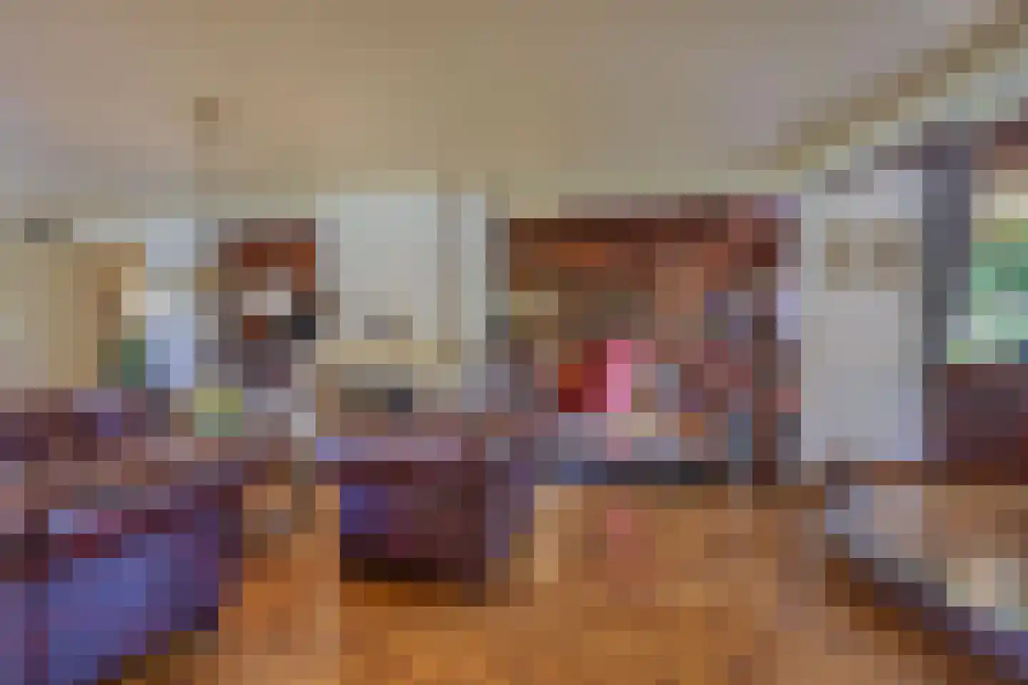 Lijsterbeslaan 6 Loon op Zand thumbnail 4