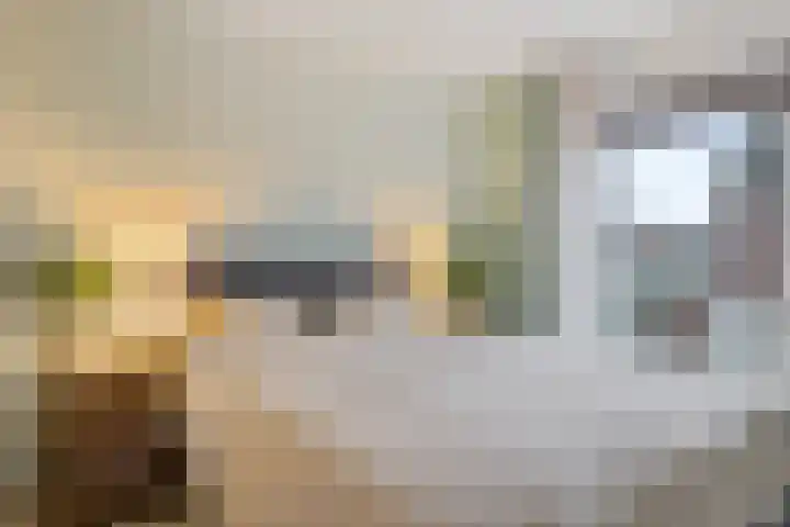 Lijsterbeslaan 67 Hillegom thumbnail 11