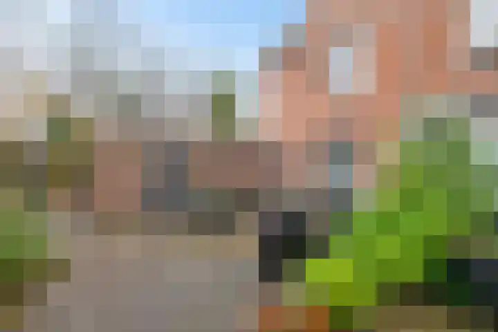 Lijsterbeslaan 67 Hillegom thumbnail 18