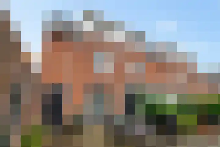 Lijsterbeslaan 67 Hillegom thumbnail 21