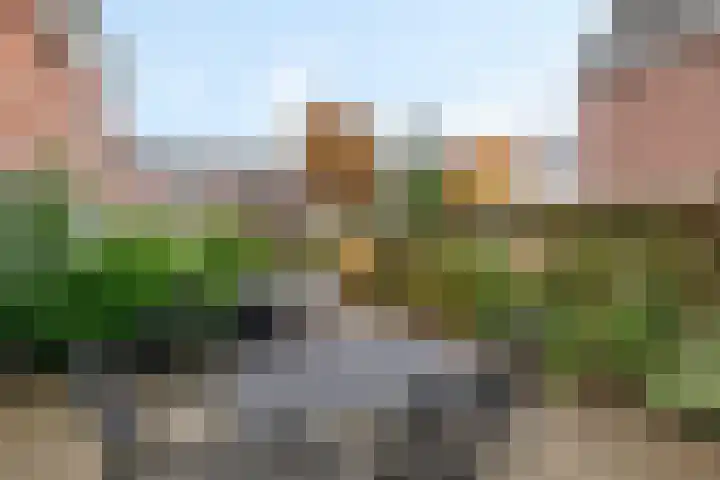 Lijsterbeslaan 67 Hillegom thumbnail 22