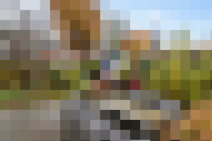 Lijsterbeslaan 67 Hillegom thumbnail 23
