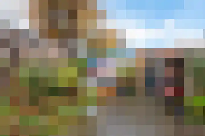 Lijsterbeslaan 67 Hillegom thumbnail 24
