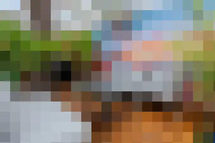 Lijsterbeslaan 67 Hillegom thumbnail 25