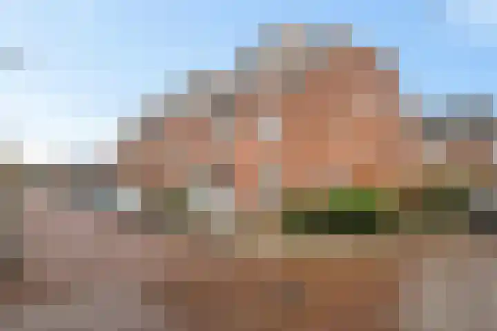 Lijsterbeslaan 67 Hillegom thumbnail 27