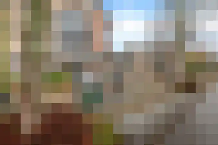 Lijsterbeslaan 67 Hillegom thumbnail 28