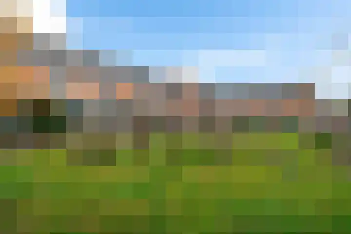 Lijsterbeslaan 67 Hillegom thumbnail 29