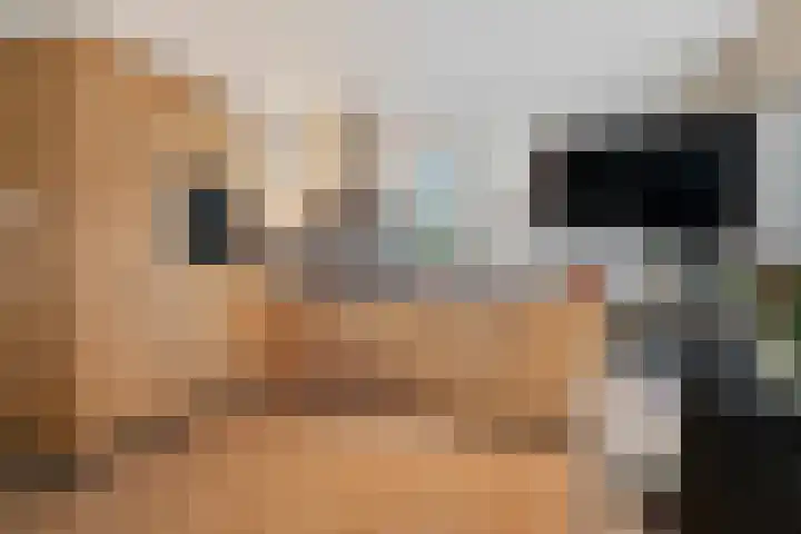 Lijsterbeslaan 67 Hillegom thumbnail 5