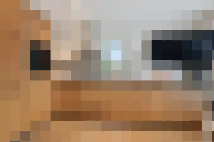 Lijsterbeslaan 67 Hillegom thumbnail 6
