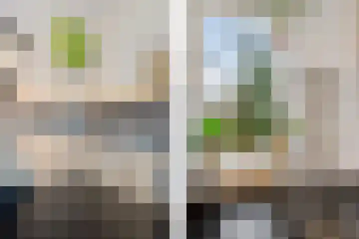 Lijsterbeslaan 67 Hillegom thumbnail 7