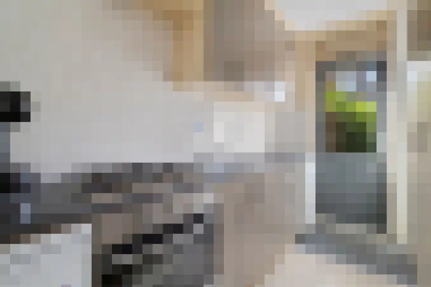 Lijsterbeslaan 7 Castricum thumbnail 13