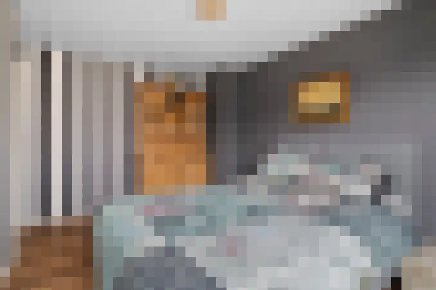 Lijsterbeslaan 7 Castricum thumbnail 18