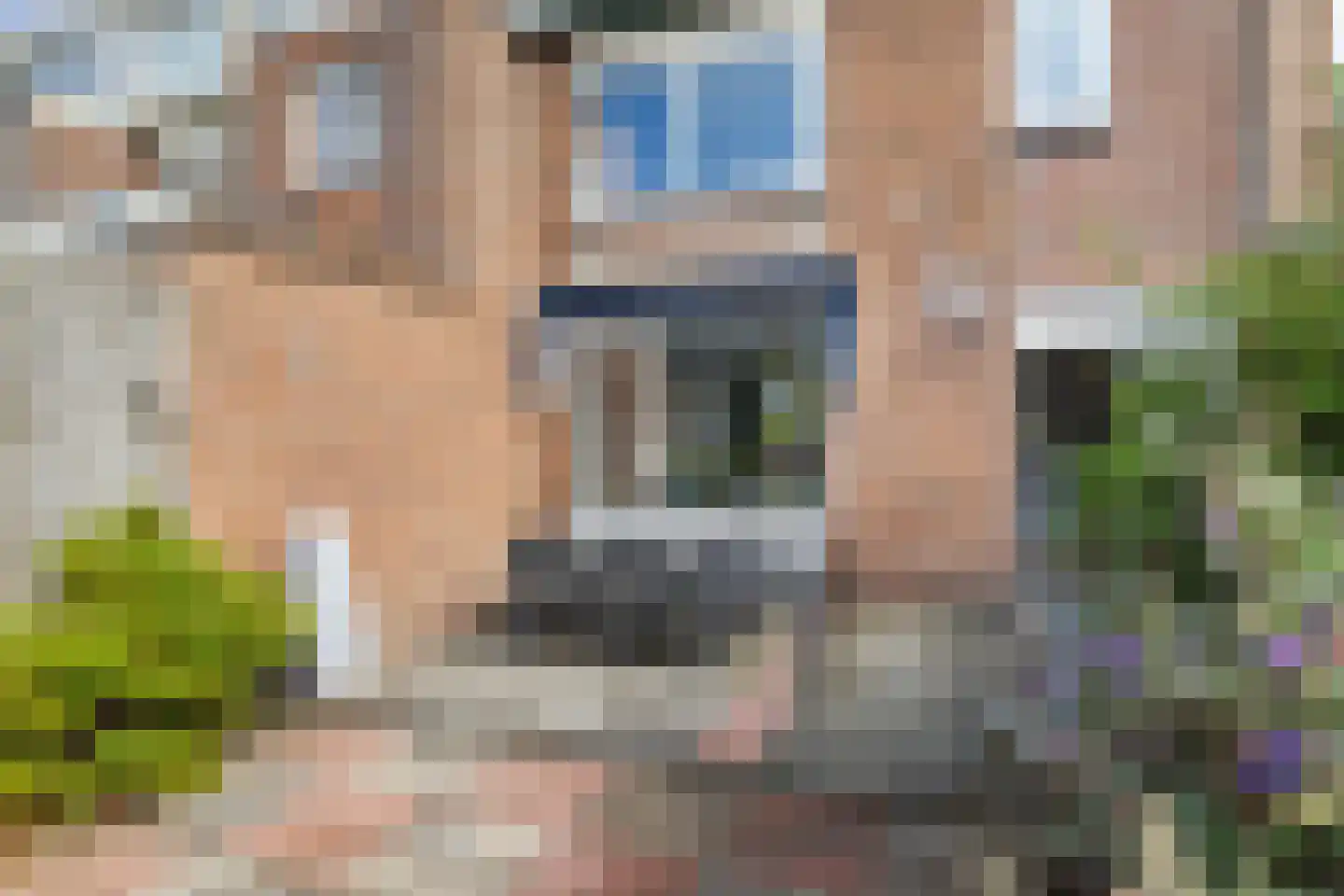 Lijsterbeslaan 7 Castricum thumbnail 30