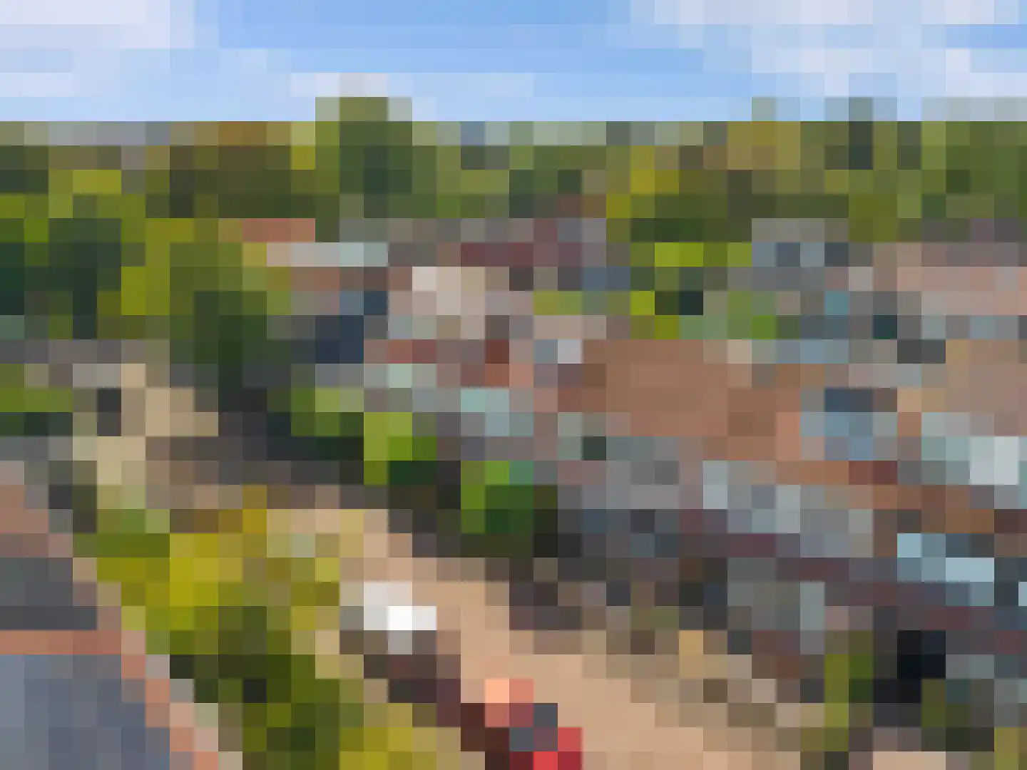 Lijsterbeslaan 7 Castricum thumbnail 38