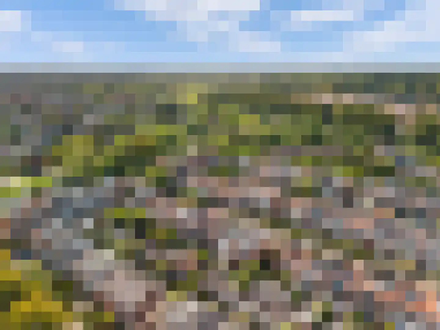 Lijsterbeslaan 7 Castricum thumbnail 39