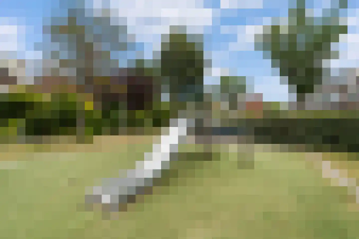 Lijsterbeslaan 7 Castricum thumbnail 40