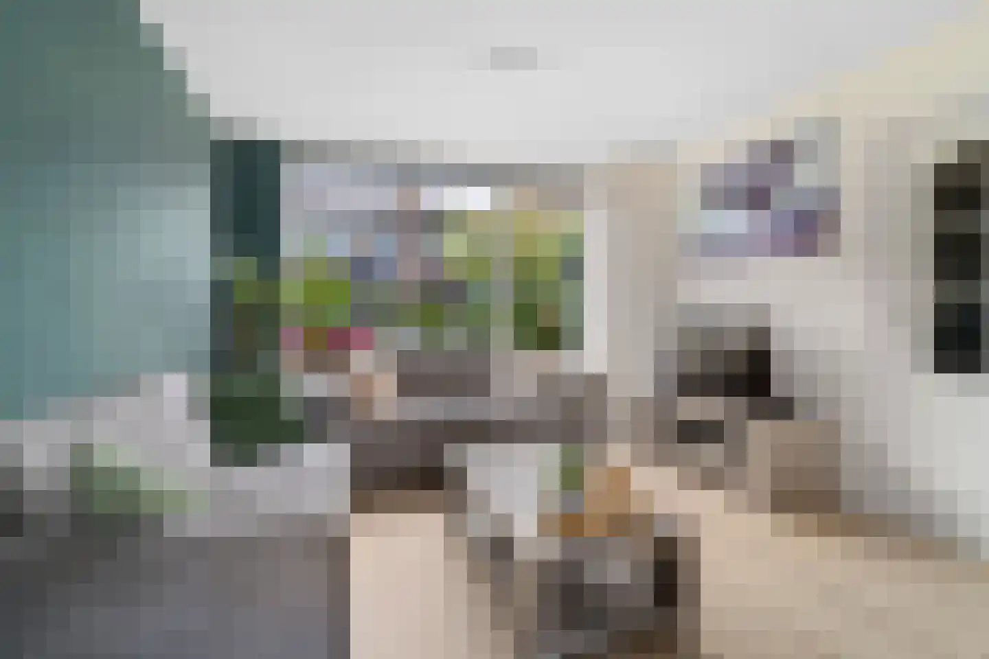 Lijsterbeslaan 7 Castricum thumbnail 8