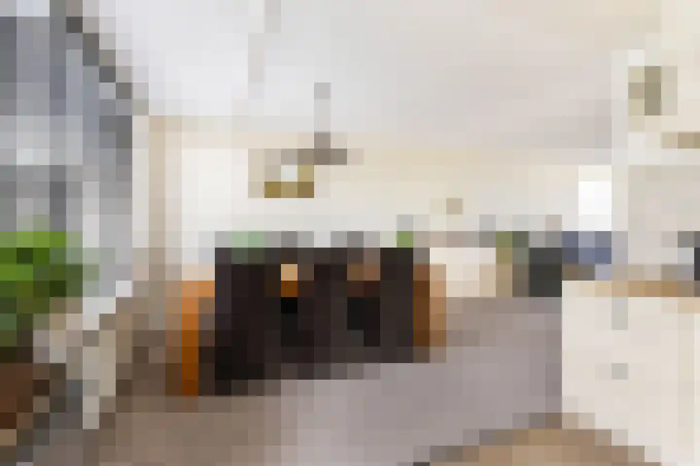 Lijsterbeslaan 7 Zegveld thumbnail 11