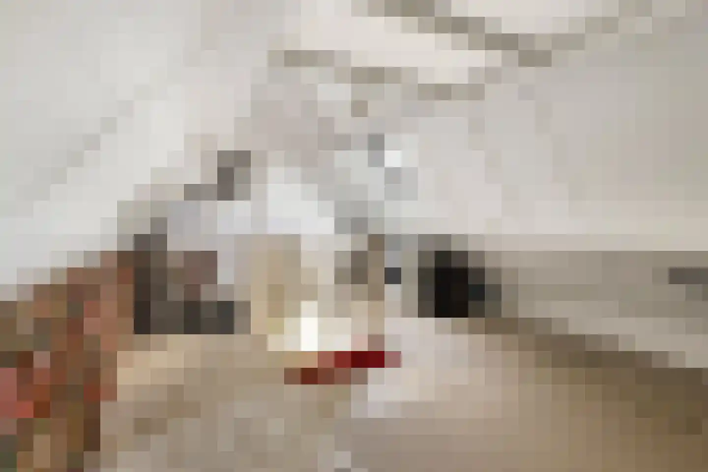 Lijsterbeslaan 7 Zegveld thumbnail 22