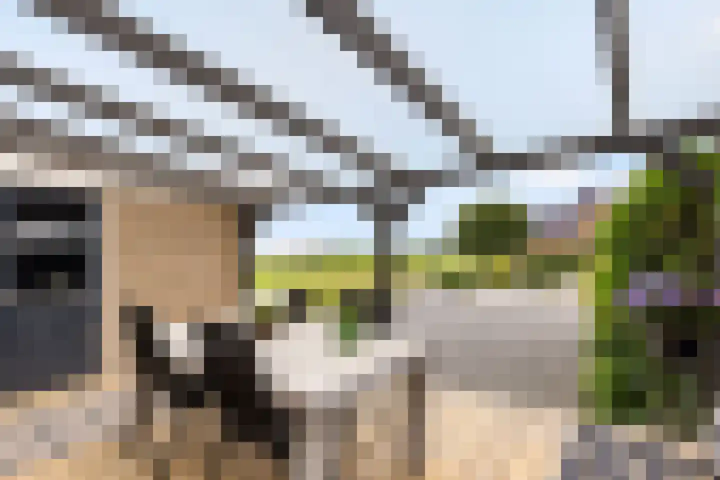 Lijsterbeslaan 7 Zegveld thumbnail 26