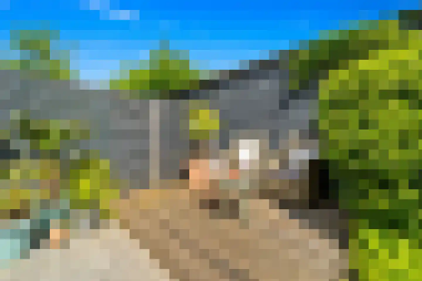 Lijsterbeslaan 78 Delft thumbnail 26