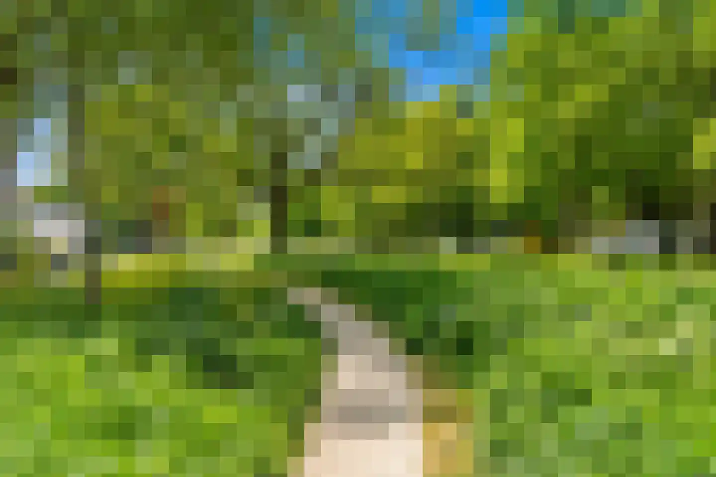 Lijsterbeslaan 78 Delft thumbnail 36