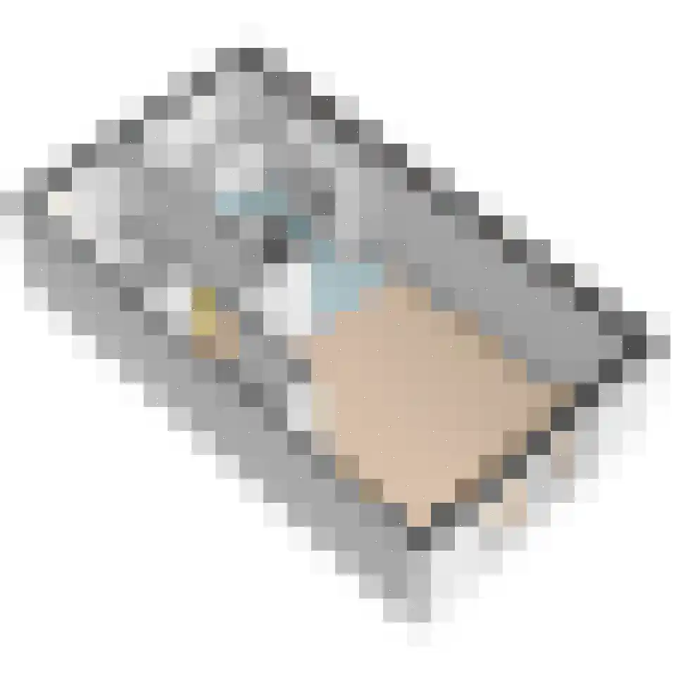 Lijsterbeslaan 78 Delft thumbnail 42