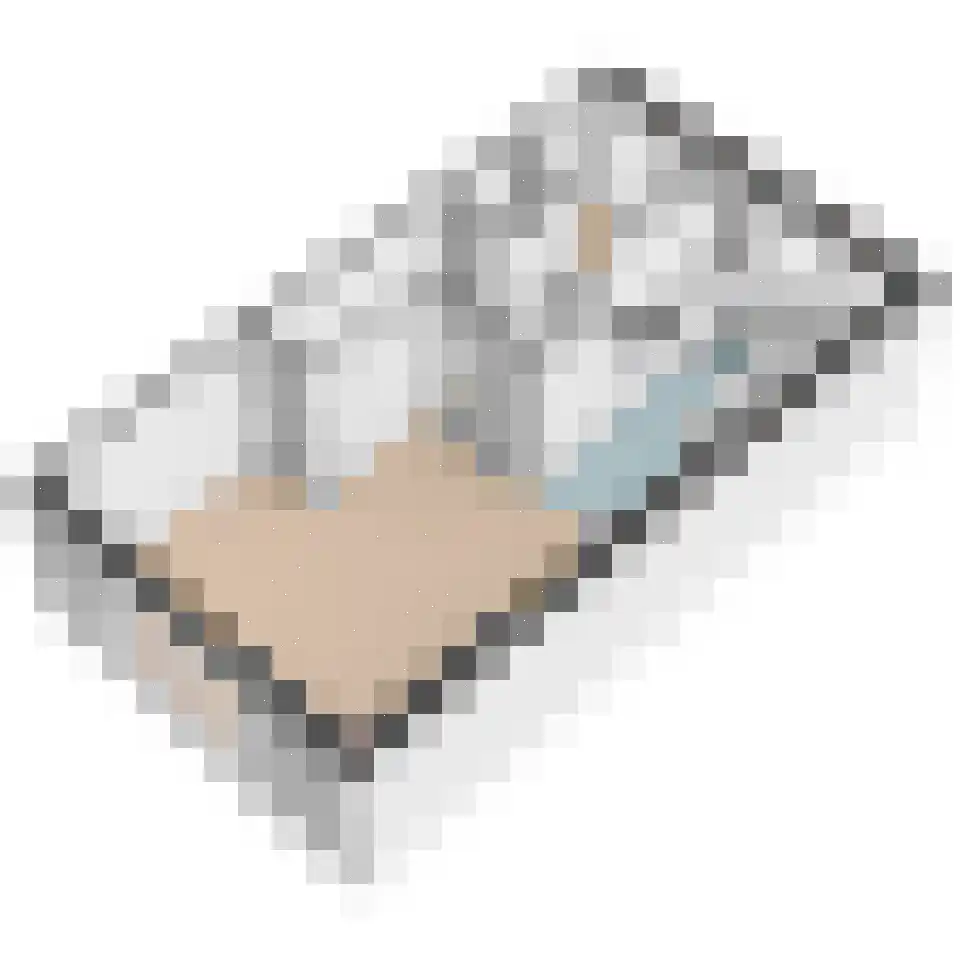 Lijsterbeslaan 78 Delft thumbnail 43
