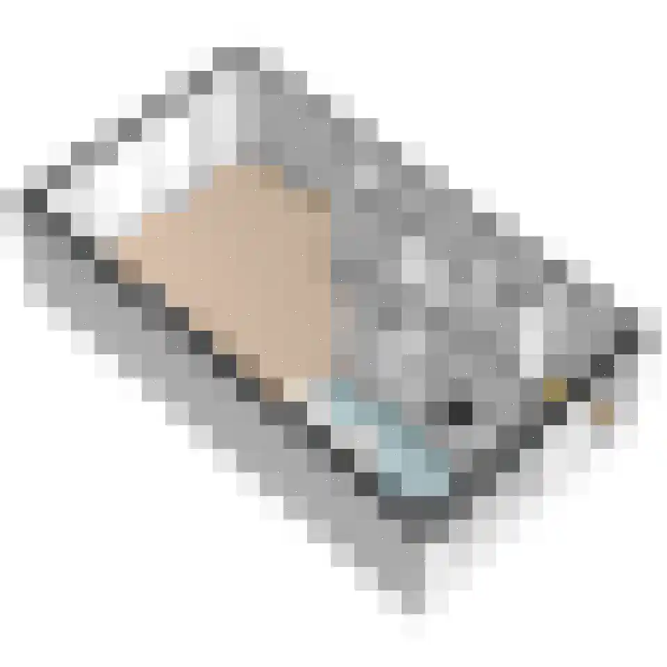Lijsterbeslaan 78 Delft thumbnail 44